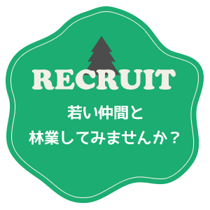 若い仲間と林業してみませんか？